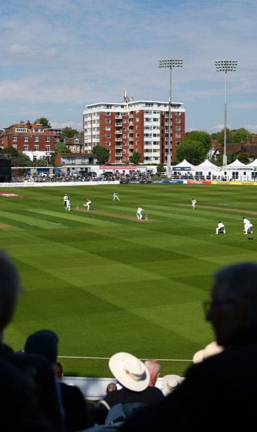 Cricket virtual