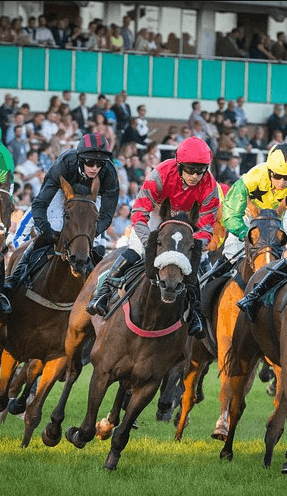 Carreras caballos virtuales
