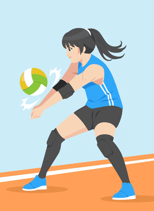 Voleibol en vivo